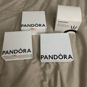 Pandora gift bags and bracelet boxes jewelry cleaner set